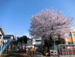 太陽の子幼稚園 太陽の子幼稚園
